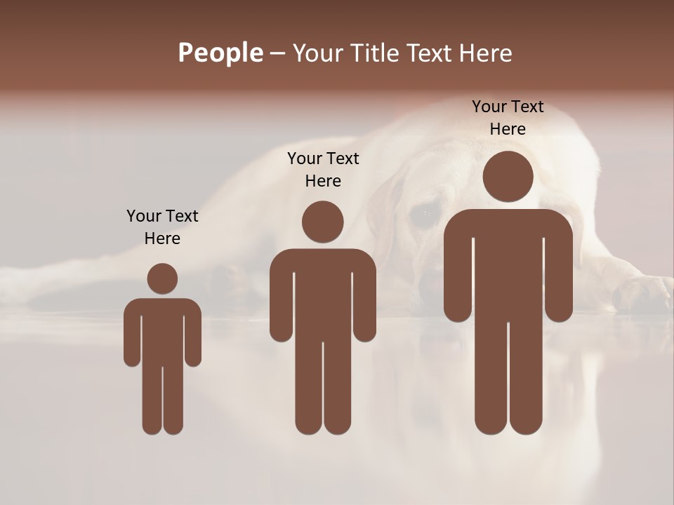 Patience Yellow Labrador Retriever House PowerPoint Template