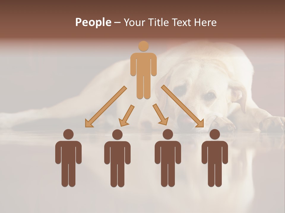 Patience Yellow Labrador Retriever House PowerPoint Template