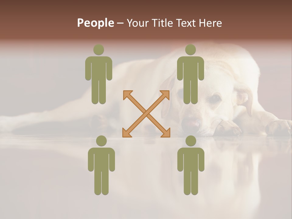 Patience Yellow Labrador Retriever House PowerPoint Template