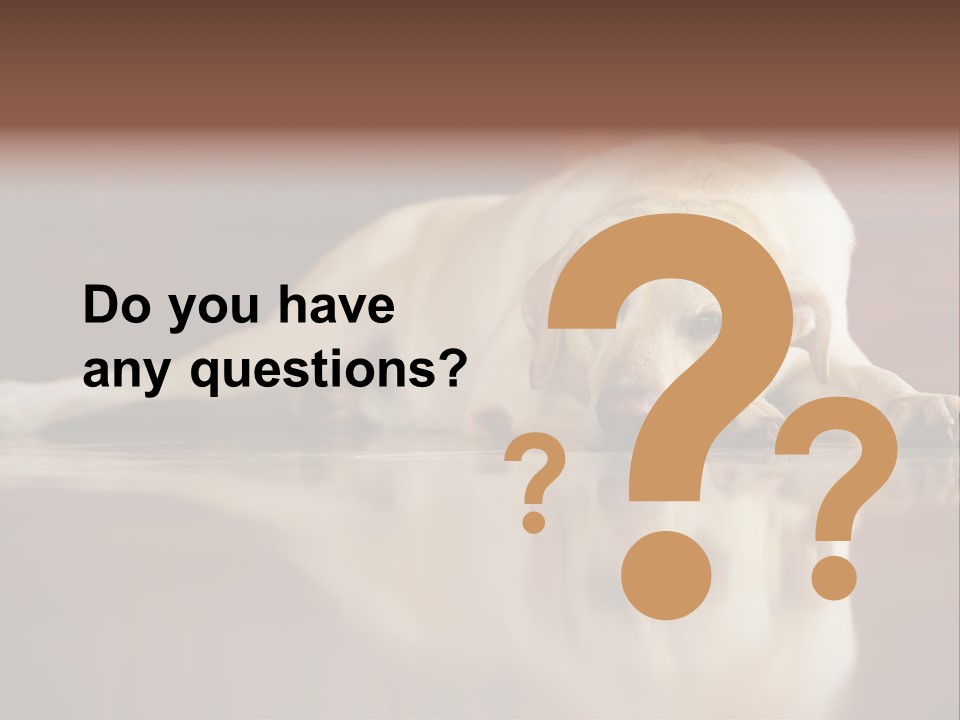 Patience Yellow Labrador Retriever House PowerPoint Template