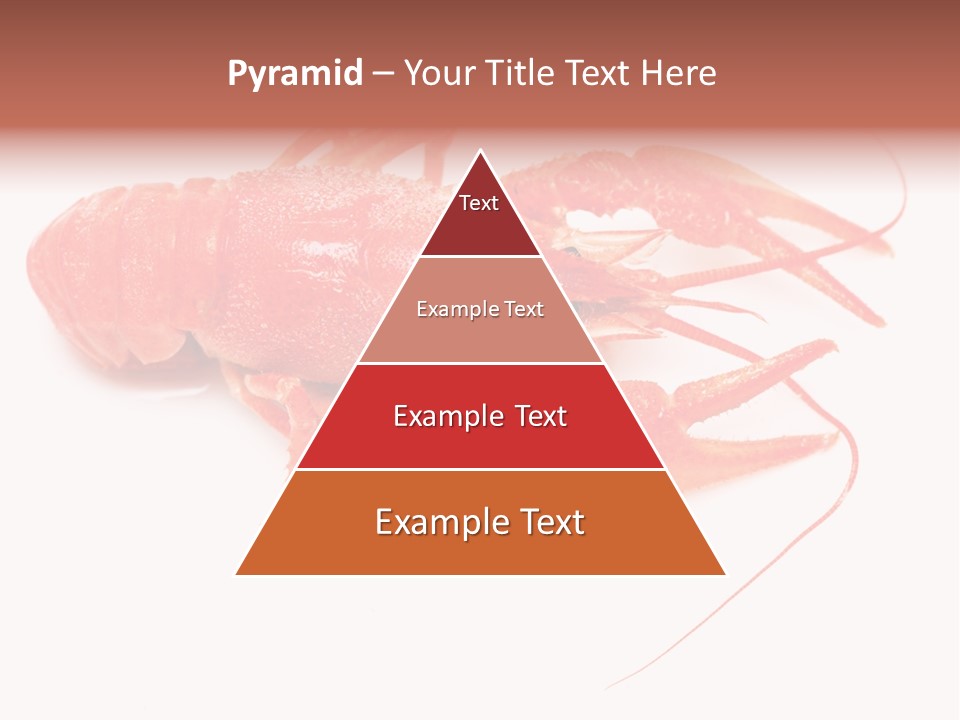 Antenna Closeup Eye PowerPoint Template