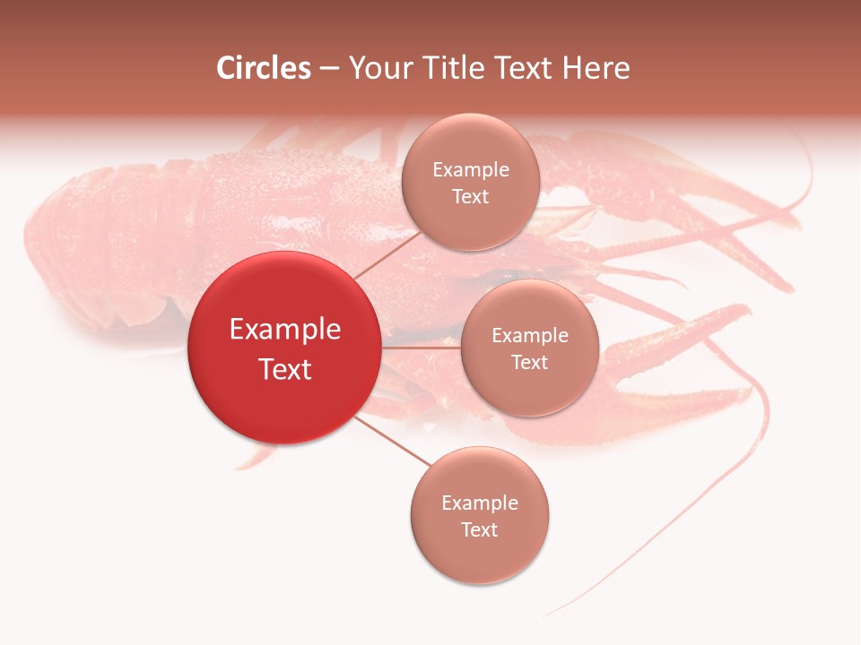 Antenna Closeup Eye PowerPoint Template
