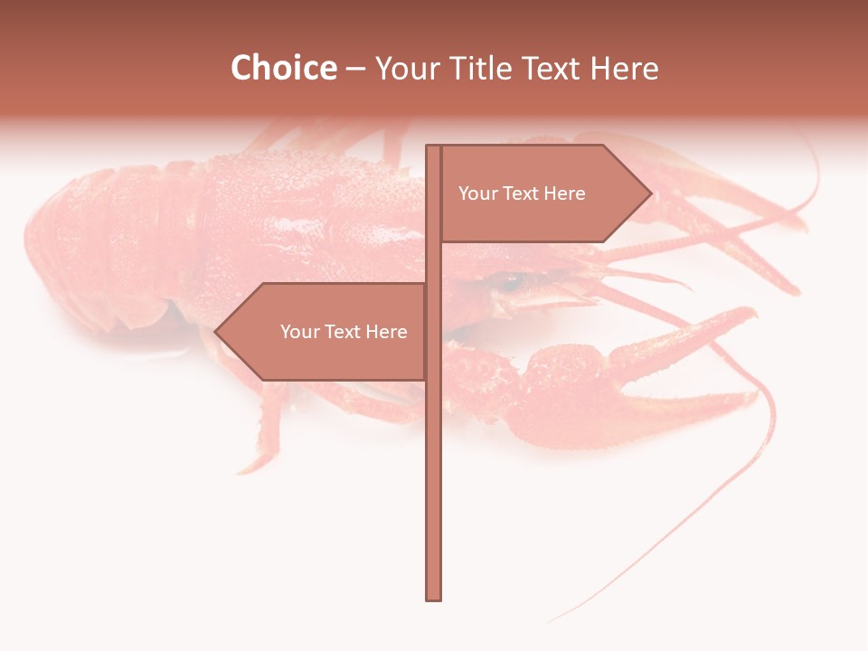 Antenna Closeup Eye PowerPoint Template
