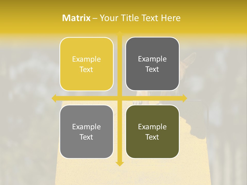 Looking At View Balance Young PowerPoint Template