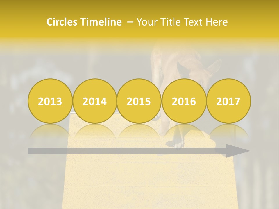 Looking At View Balance Young PowerPoint Template