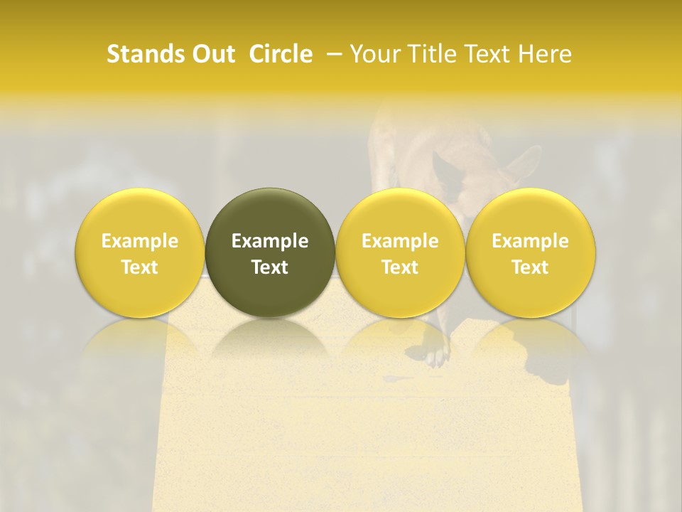Looking At View Balance Young PowerPoint Template