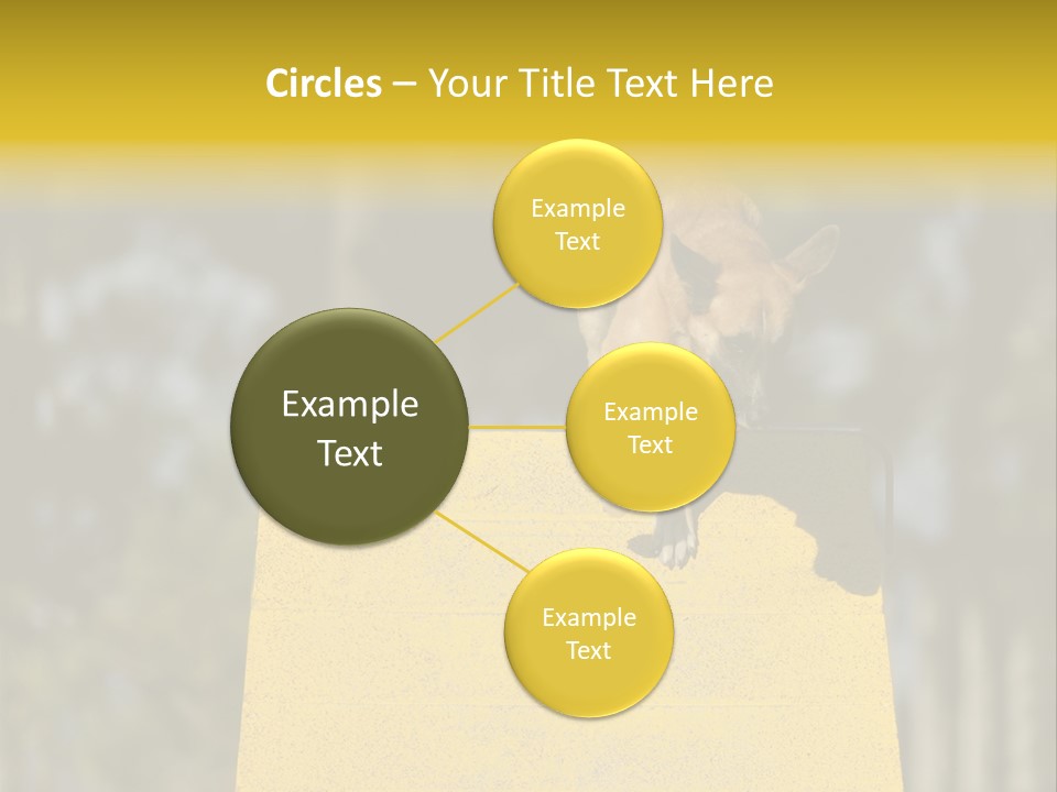 Looking At View Balance Young PowerPoint Template