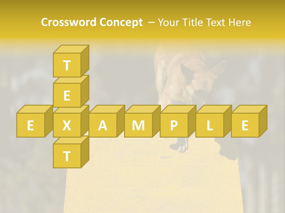 Looking At View Balance Young PowerPoint Template