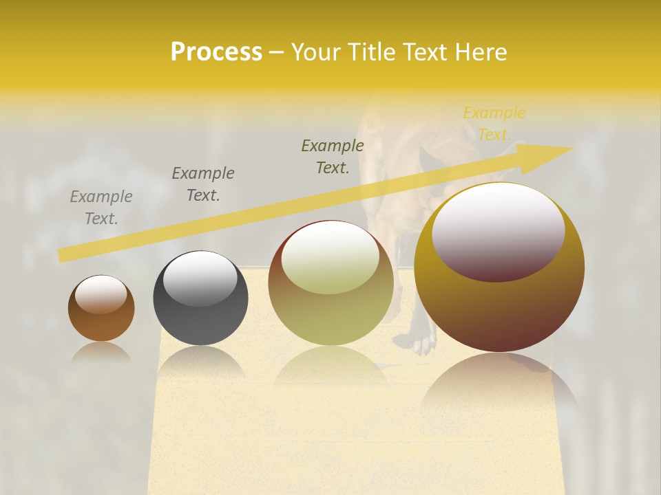 Looking At View Balance Young PowerPoint Template