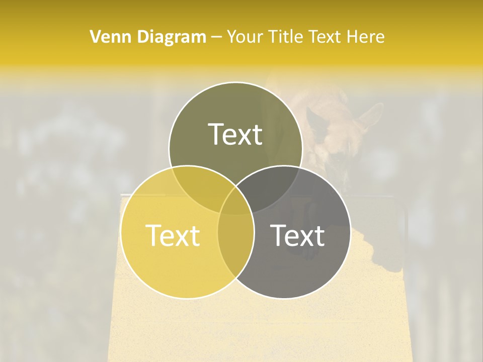 Looking At View Balance Young PowerPoint Template