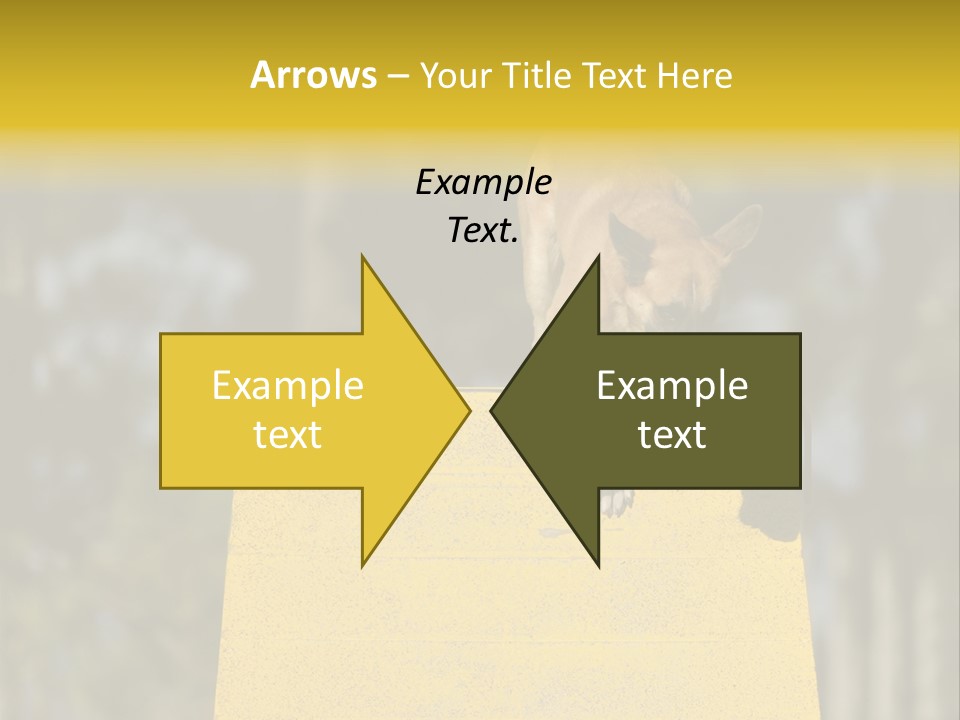 Looking At View Balance Young PowerPoint Template