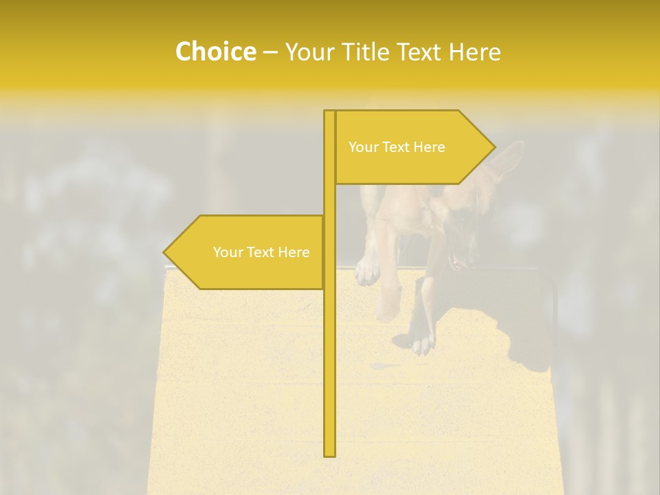 Looking At View Balance Young PowerPoint Template