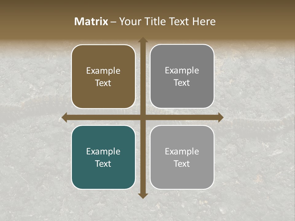Processionary Pine Forest PowerPoint Template