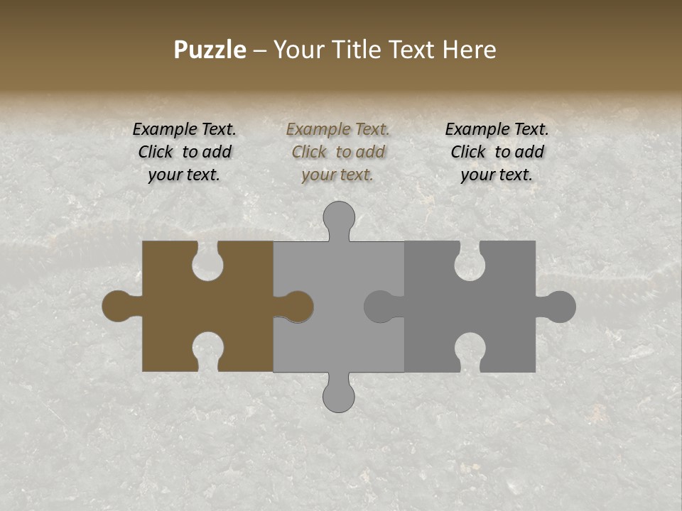 Processionary Pine Forest PowerPoint Template