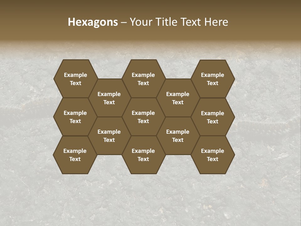 Processionary Pine Forest PowerPoint Template