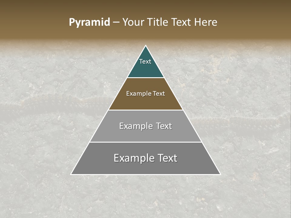 Processionary Pine Forest PowerPoint Template