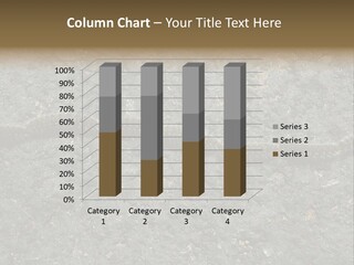 Processionary Pine Forest PowerPoint Template