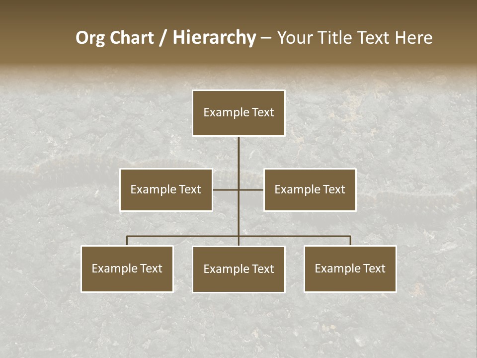 Processionary Pine Forest PowerPoint Template