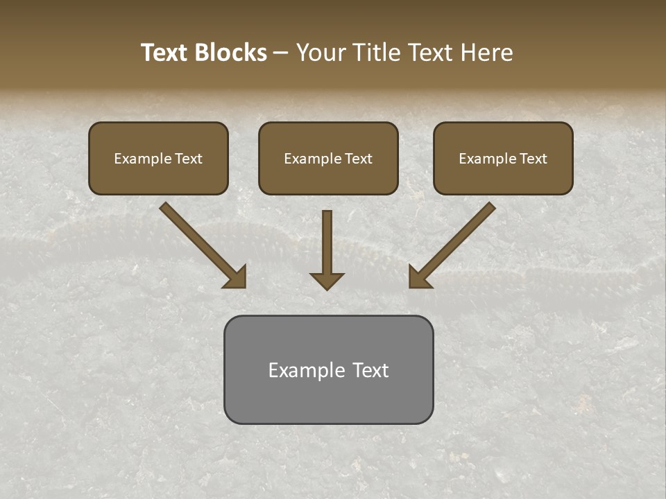 Processionary Pine Forest PowerPoint Template