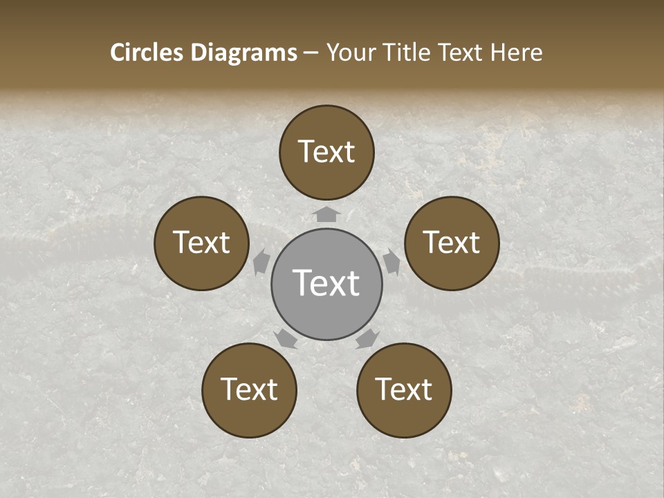 Processionary Pine Forest PowerPoint Template