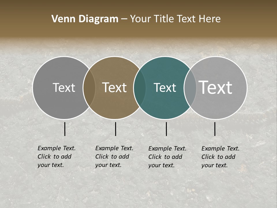 Processionary Pine Forest PowerPoint Template