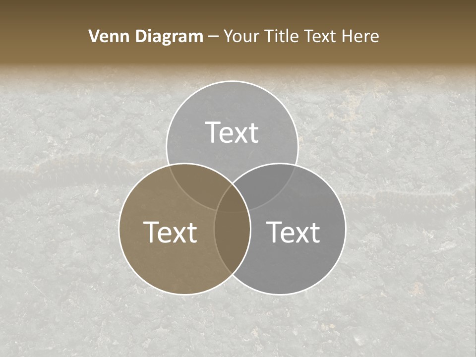 Processionary Pine Forest PowerPoint Template