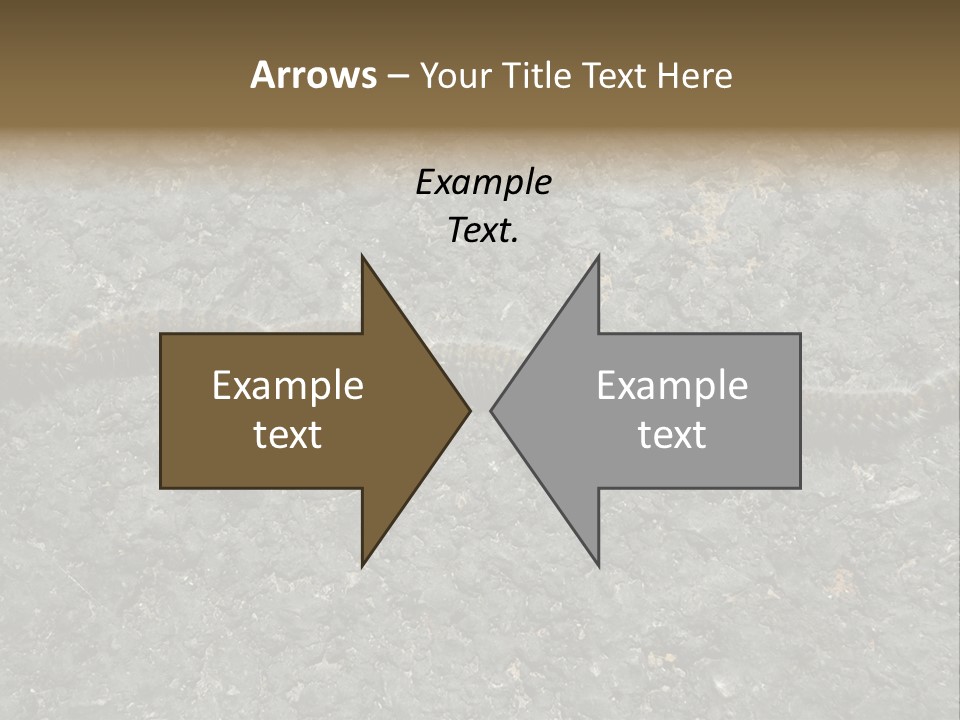Processionary Pine Forest PowerPoint Template