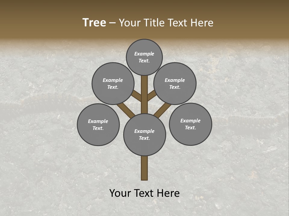 Processionary Pine Forest PowerPoint Template