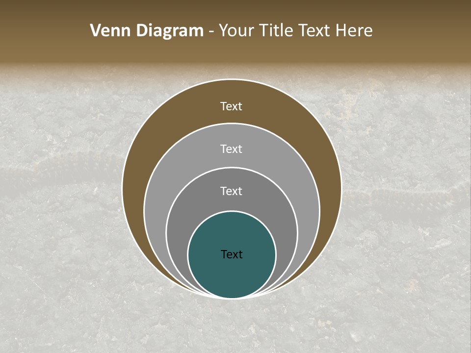 Processionary Pine Forest PowerPoint Template