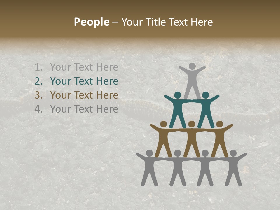 Processionary Pine Forest PowerPoint Template