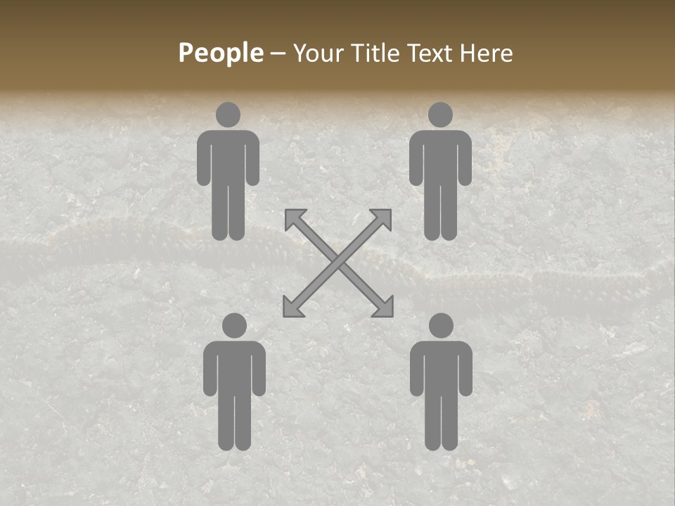 Processionary Pine Forest PowerPoint Template