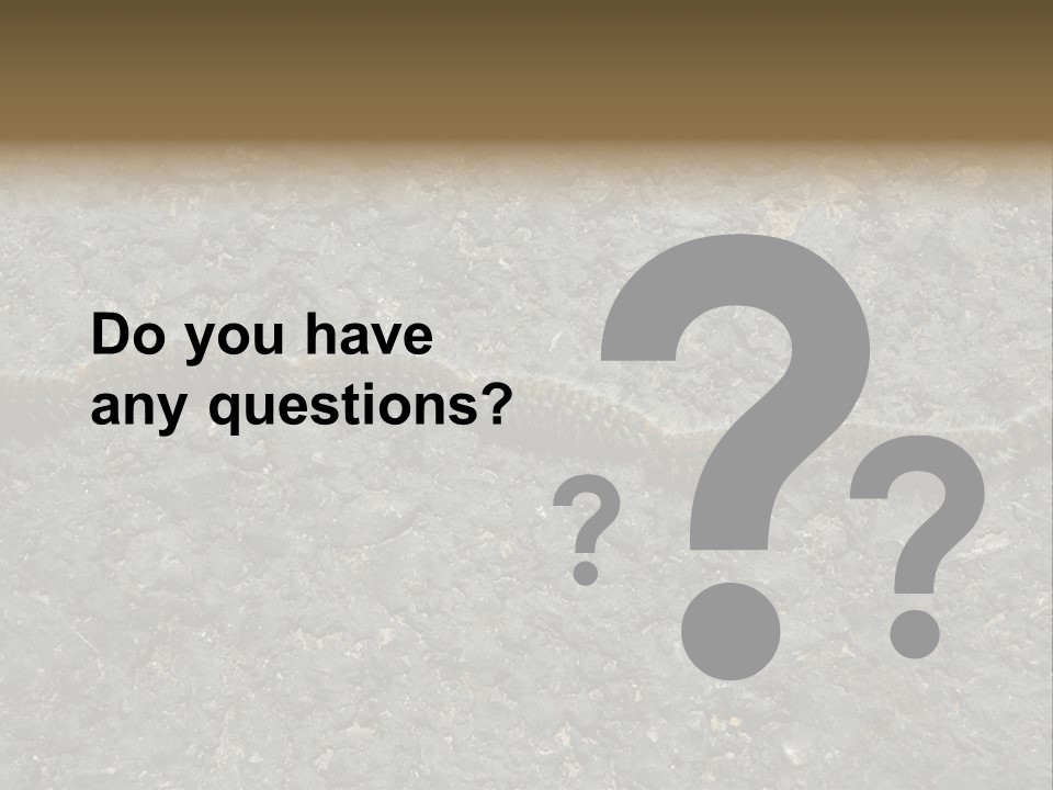 Processionary Pine Forest PowerPoint Template