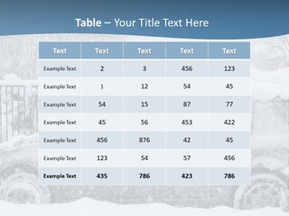 Season Climate Snowstorm PowerPoint Template