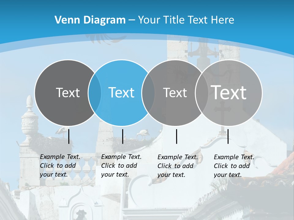 Birth Nobody Old PowerPoint Template