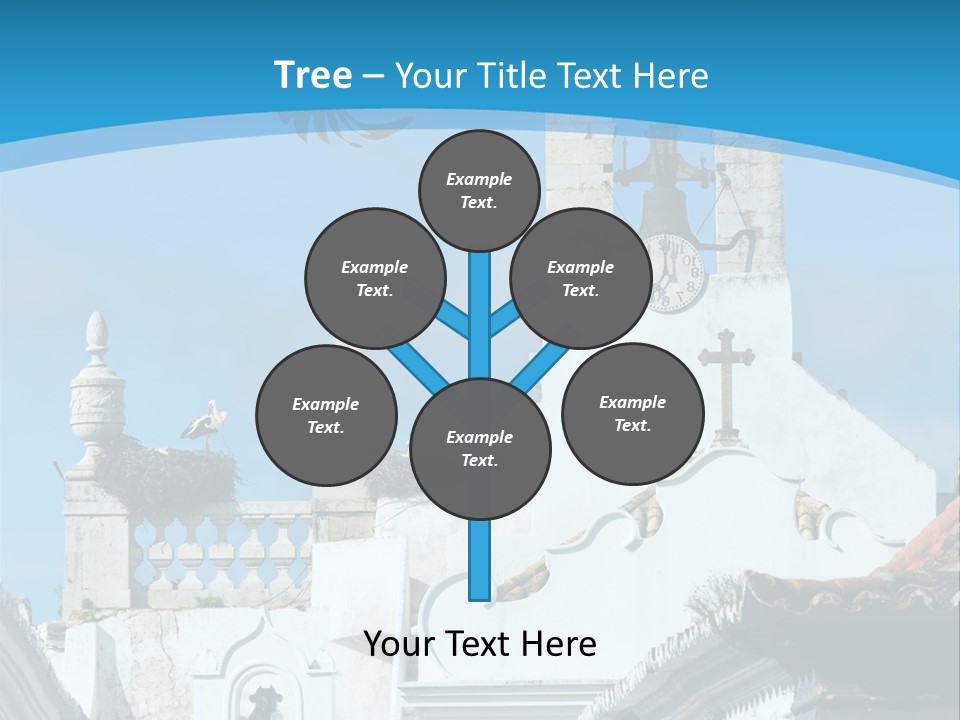 Birth Nobody Old PowerPoint Template