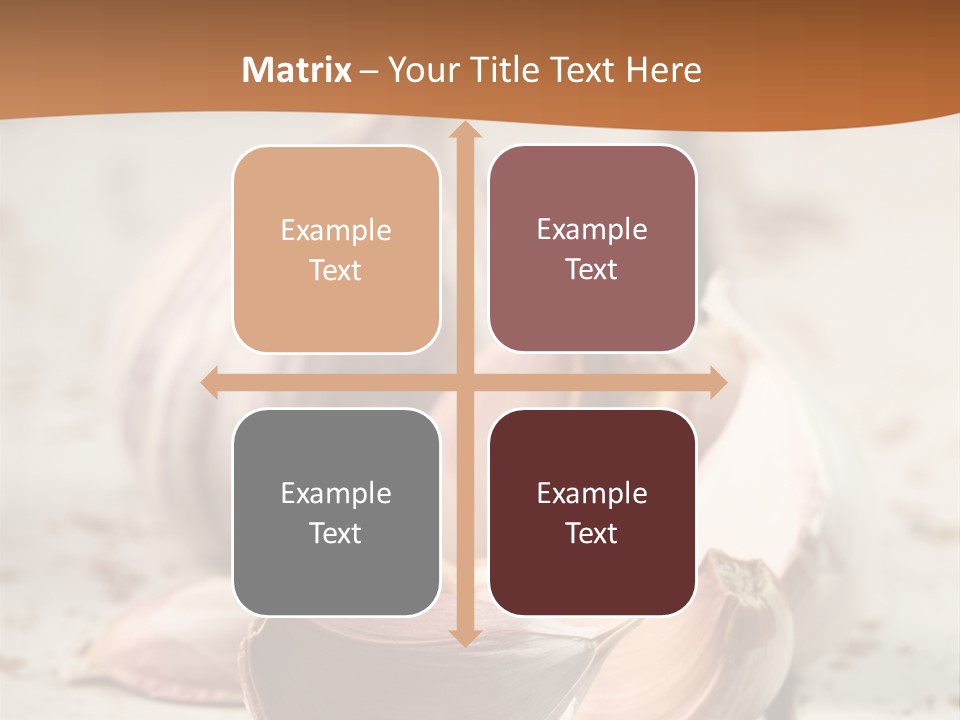 Onion Family Old Food PowerPoint Template