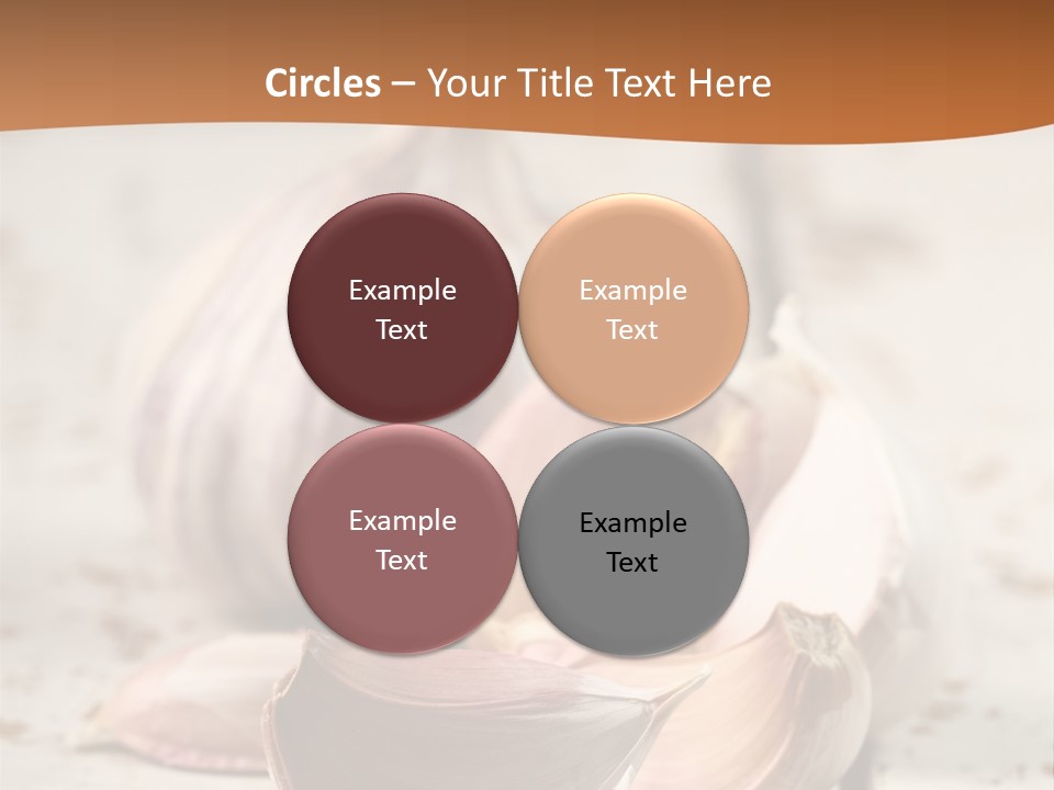 Onion Family Old Food PowerPoint Template