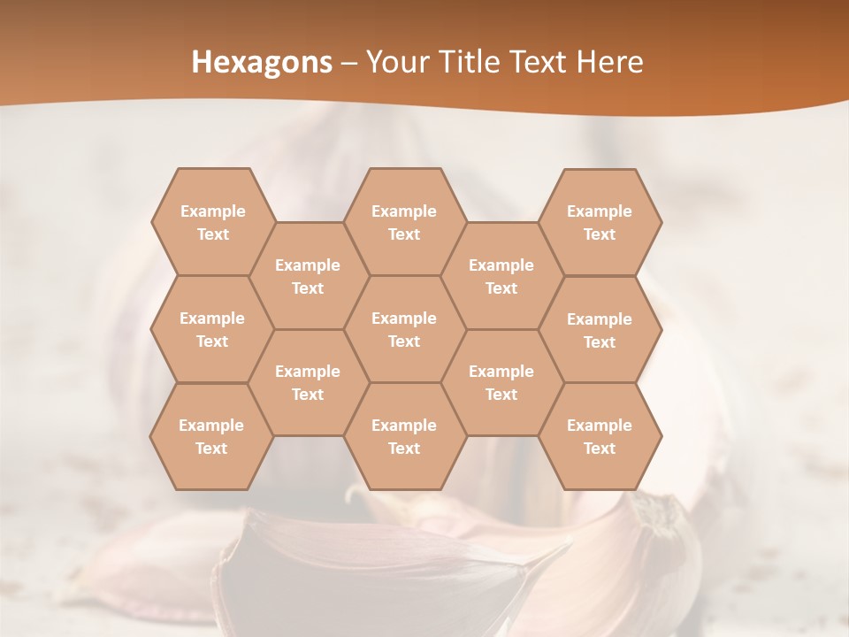 Onion Family Old Food PowerPoint Template