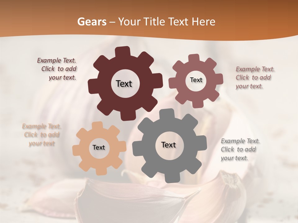 Onion Family Old Food PowerPoint Template