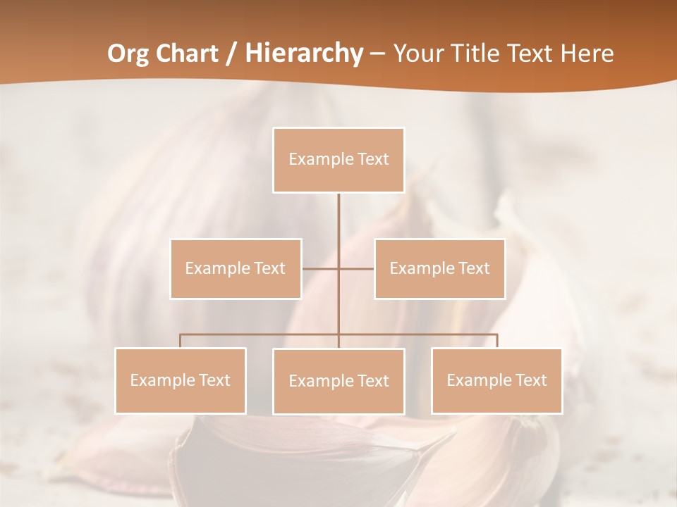 Onion Family Old Food PowerPoint Template