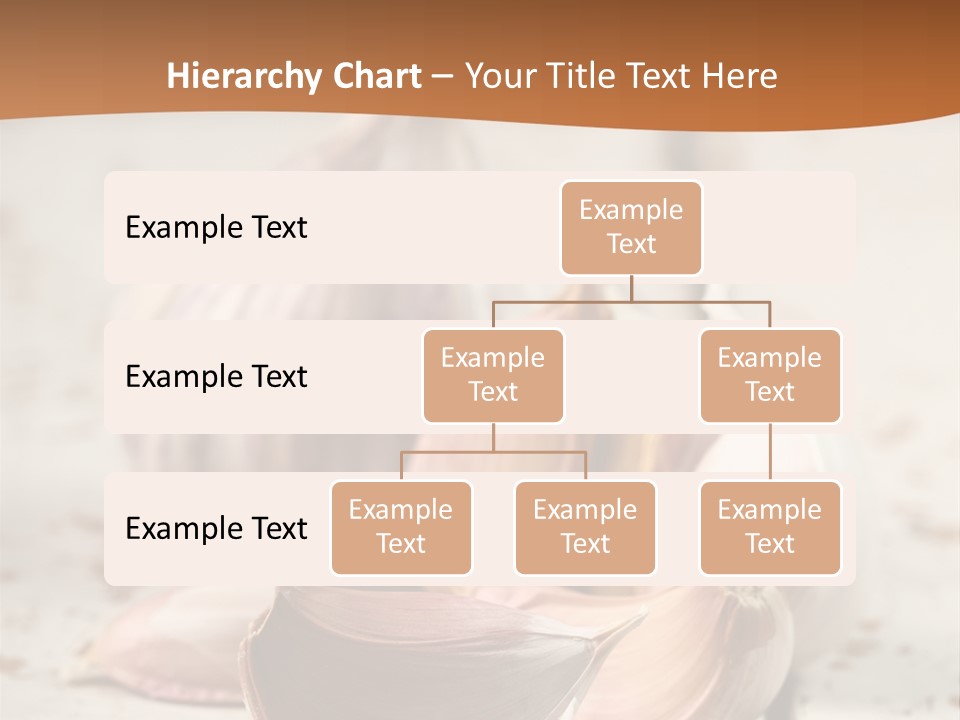 Onion Family Old Food PowerPoint Template