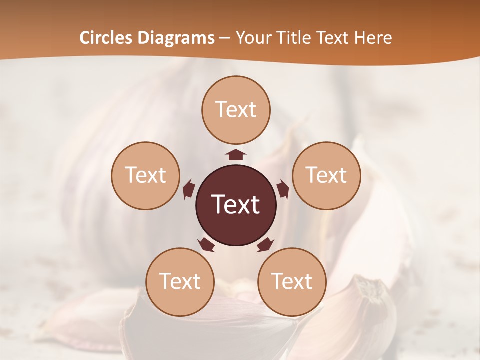 Onion Family Old Food PowerPoint Template