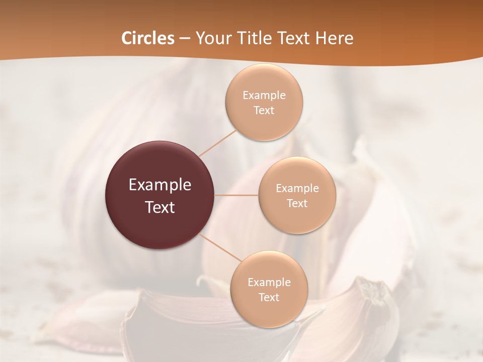 Onion Family Old Food PowerPoint Template