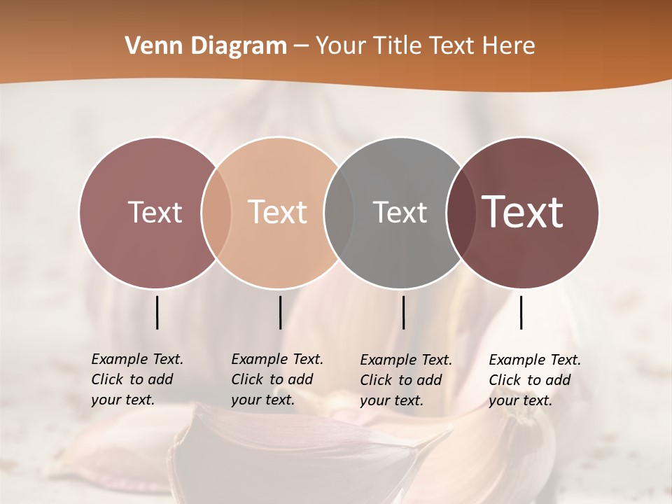 Onion Family Old Food PowerPoint Template