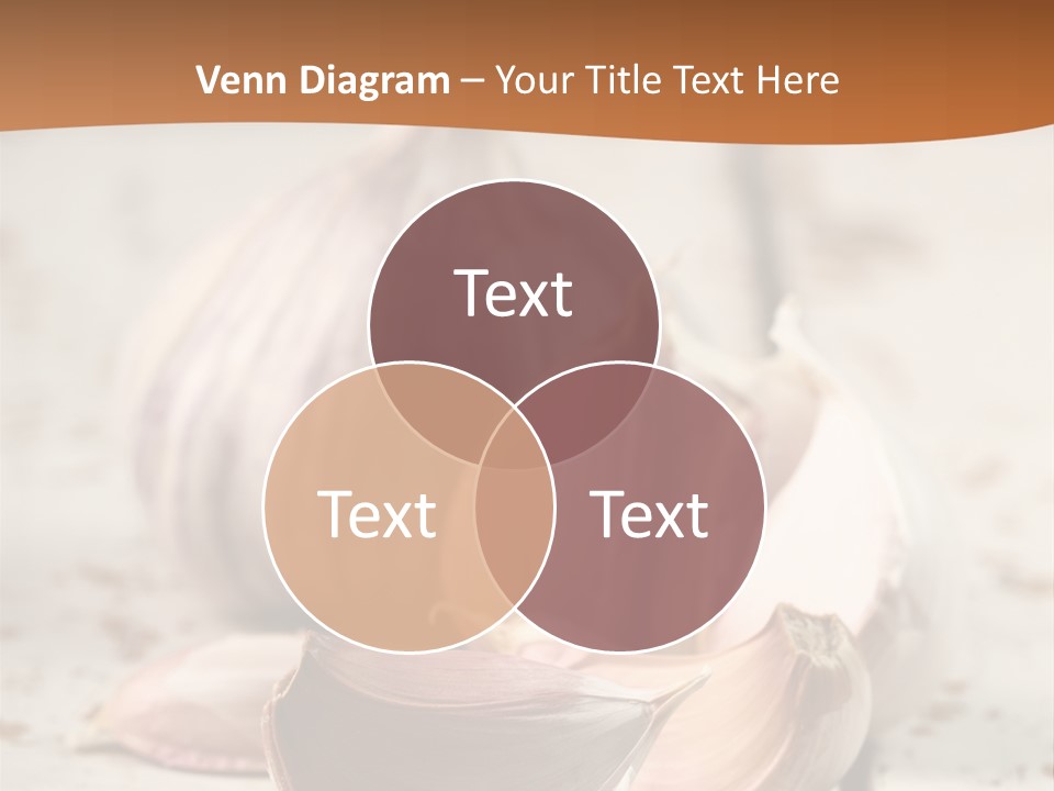 Onion Family Old Food PowerPoint Template