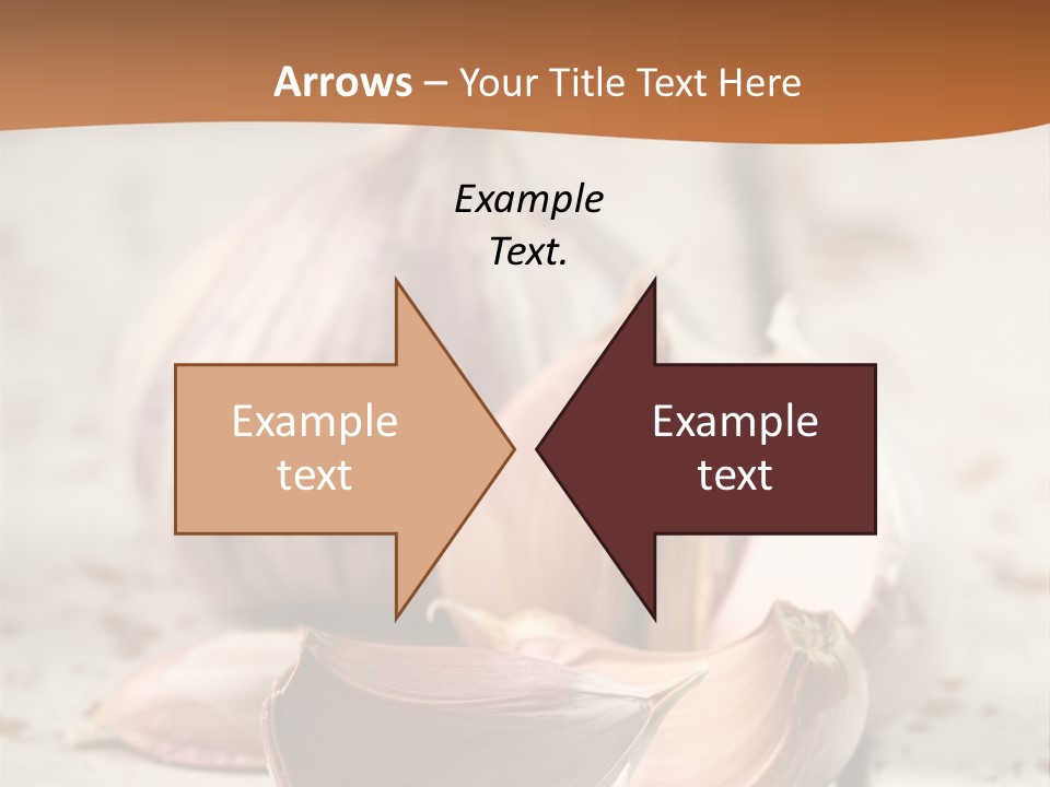 Onion Family Old Food PowerPoint Template