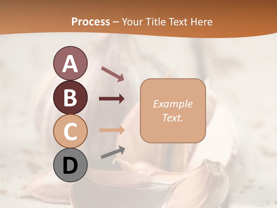 Onion Family Old Food PowerPoint Template