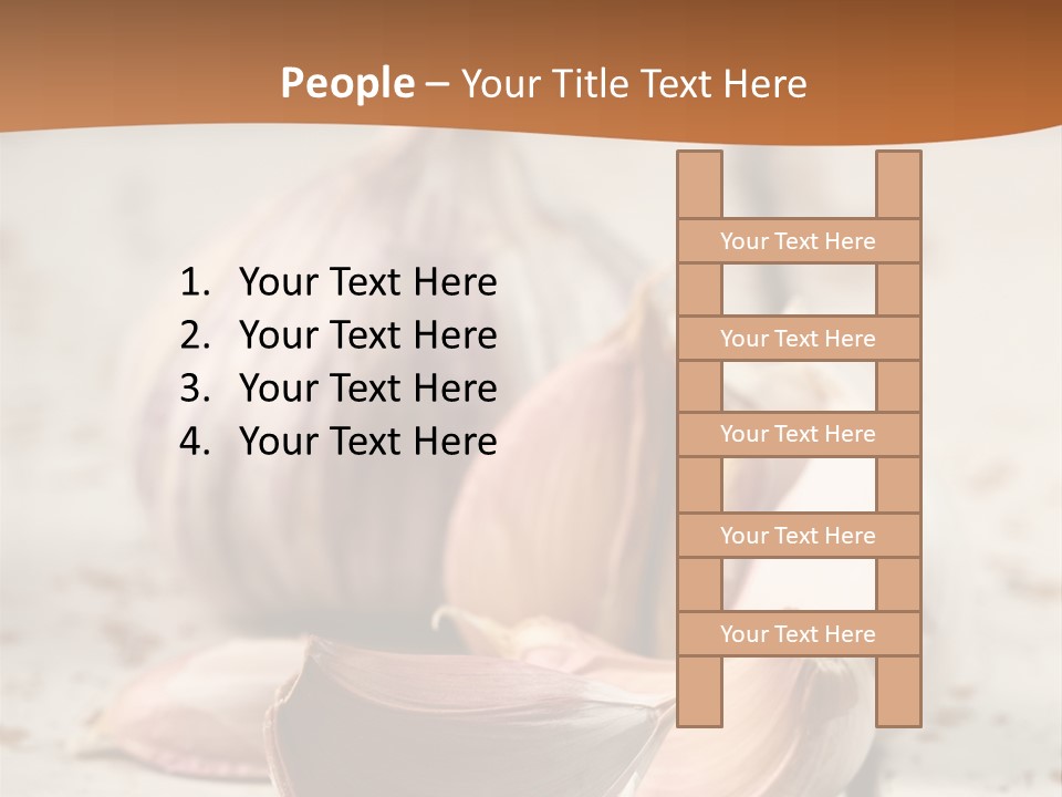 Onion Family Old Food PowerPoint Template