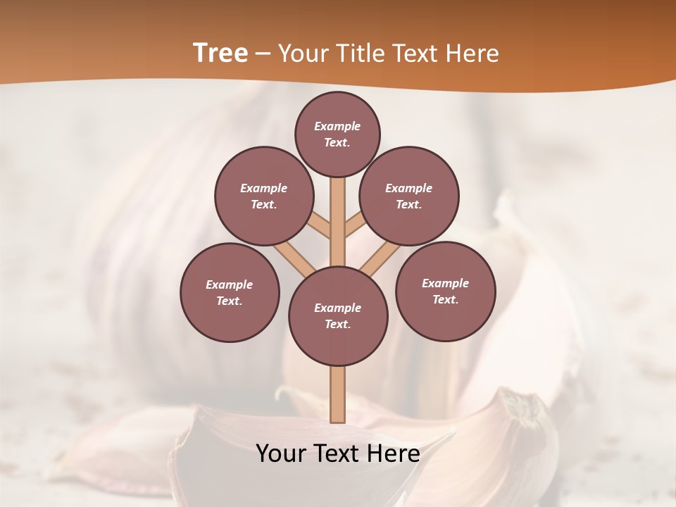 Onion Family Old Food PowerPoint Template