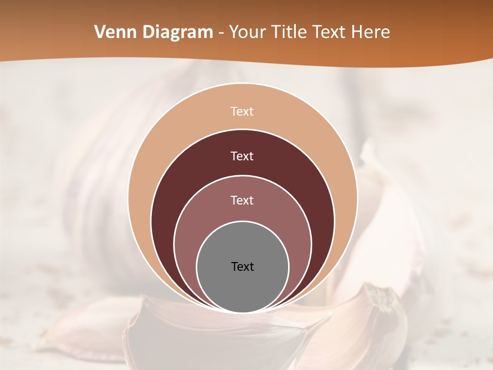 Onion Family Old Food PowerPoint Template